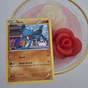 Riolu Pokémon Trading Card Cute Kawaii